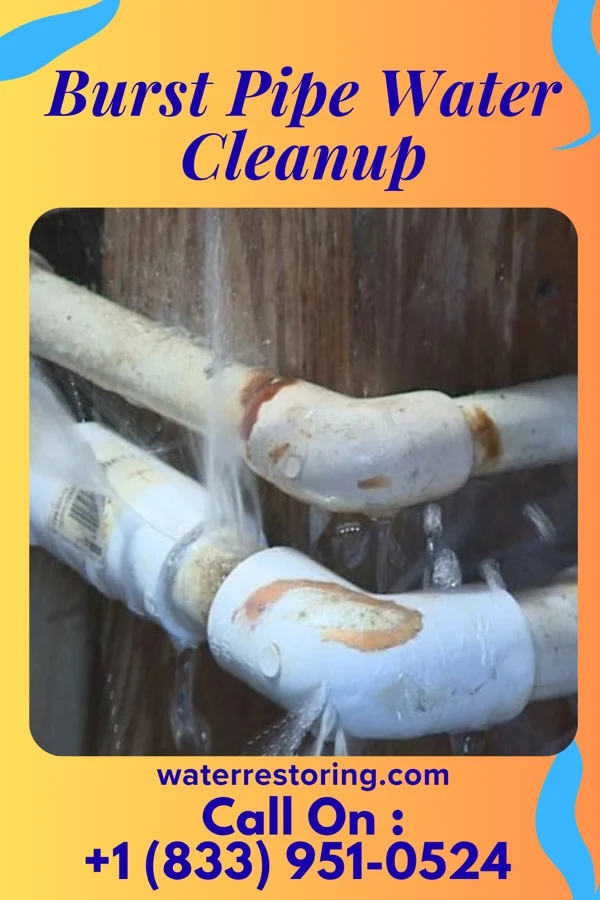 Burst Pipe Water Cleanup in Hartman, AR