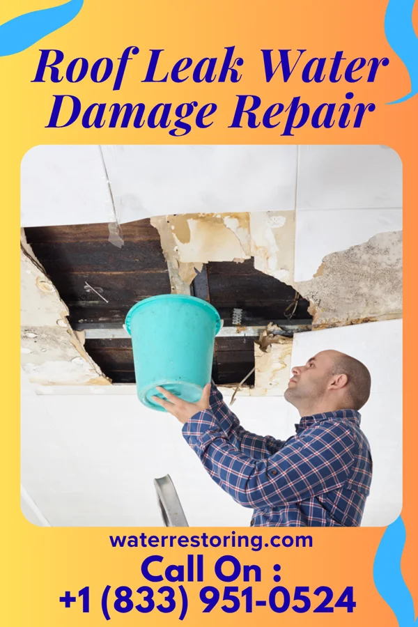 Roof Leak Water Damage Repair in Hartman, AR
